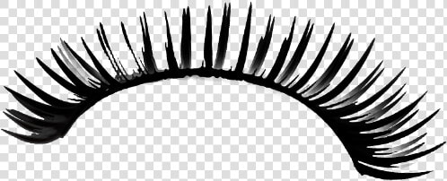 Eyelash Kirpik Freetoedit 귀여운 Picsart   Eyelash Extensions  HD Png DownloadTransparent PNG