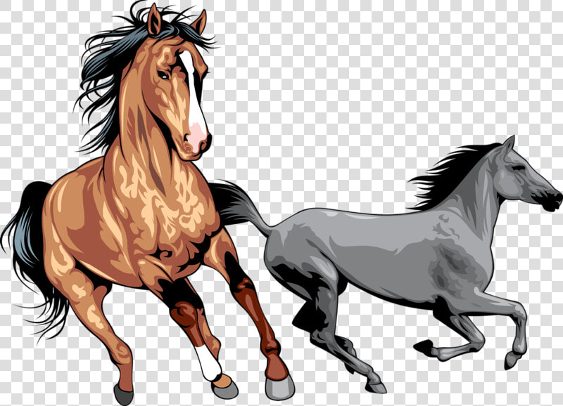 Mustang Wild Horse Clip Art   Running Horse Png  Transparent PngTransparent PNG