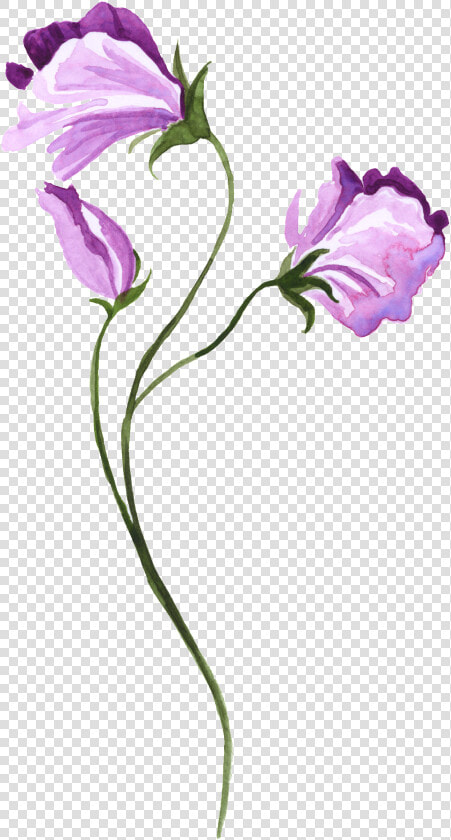 Watercolor Hand painted Purple Floral Transparent Decorative   Watercolor Painting  HD Png DownloadTransparent PNG