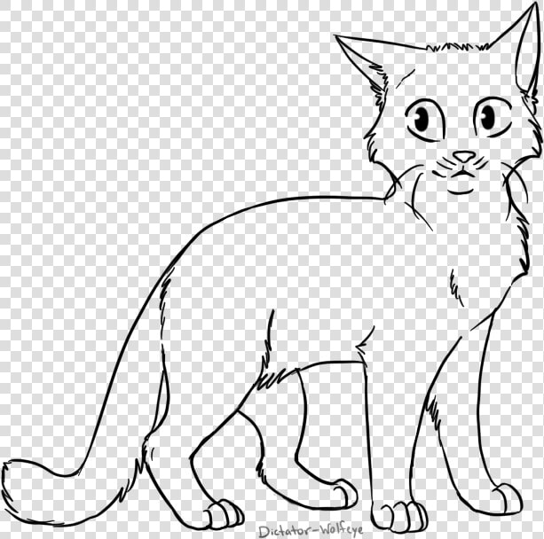 Cat Lineart By Wolfeye   Cat Base Transparent Background  HD Png DownloadTransparent PNG