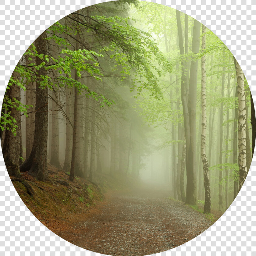 A Pathfinder Retreat Coming Fall  HD Png DownloadTransparent PNG