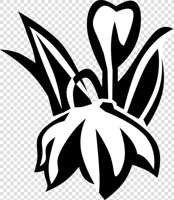 Vector Illustration Of Blue Eyed Grass Satin Flower   Emblem  HD Png DownloadTransparent PNG