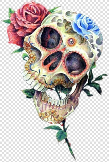  skull  skulls  roses  skullsandroses  tattoo  tattooart   Roses On Mexican Skull  HD Png DownloadTransparent PNG