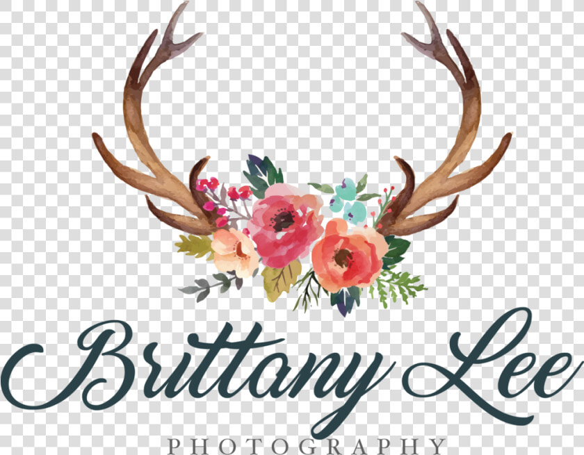 Antler Clipart Flower   Antlers And Flowers Clipart  HD Png DownloadTransparent PNG