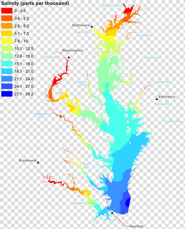 Female Crabs In The Chesapeake Bay Migrate South To   Salinity Map Of The Chesapeake Bay  HD Png DownloadTransparent PNG