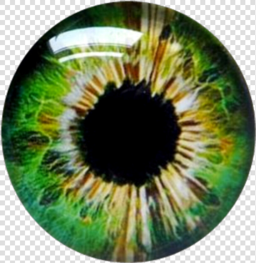  greeneyes  eye  contacts  eyeballs   Circle  HD Png DownloadTransparent PNG