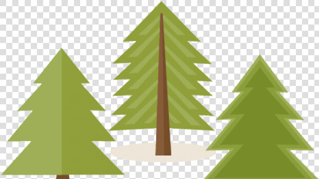 Pine Tree Clipart   Transparent Pine Tree Clipart  HD Png DownloadTransparent PNG