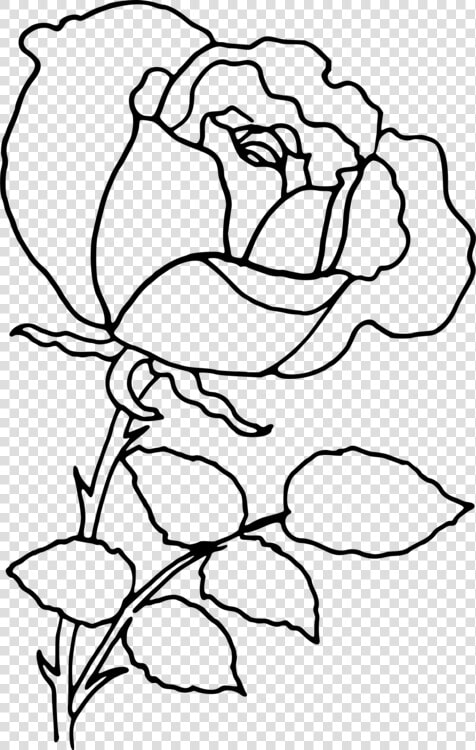 Art symmetry monochrome Photography   Rose Outline Transparent  HD Png DownloadTransparent PNG