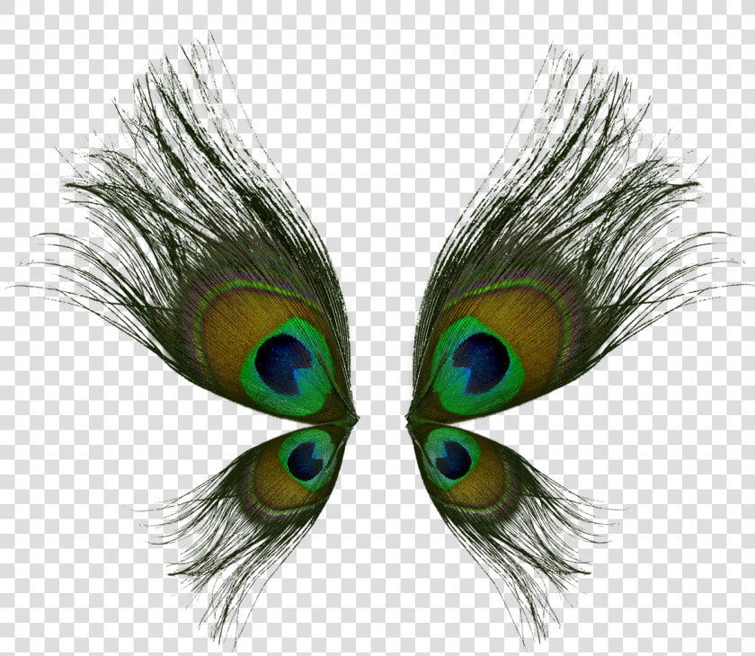 Png Peacock Feather Hd   Peacock Wings Art  Transparent PngTransparent PNG