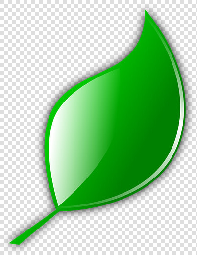 De La Hoja  Verde  Naturaleza   Folha Verde Png  Transparent PngTransparent PNG