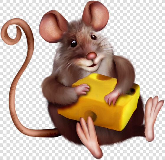 Mouse With Cheese Clipart Cartoon M   Mouse With Cheese Cartoon  HD Png DownloadTransparent PNG