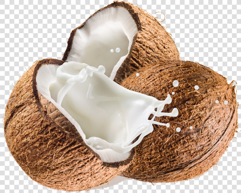 Coconut Transparent Background Png   Transparent Background Coconut Png  Png DownloadTransparent PNG