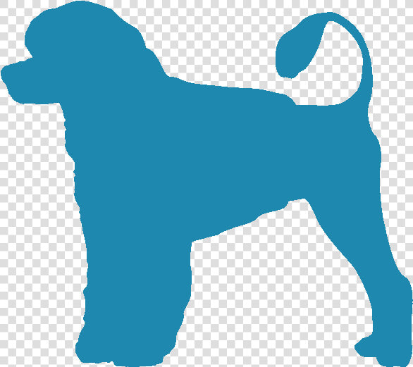 Portuguese Water Dog   Dog Catches Something  HD Png DownloadTransparent PNG