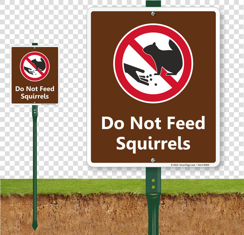 Not A Potty Sign  HD Png DownloadTransparent PNG