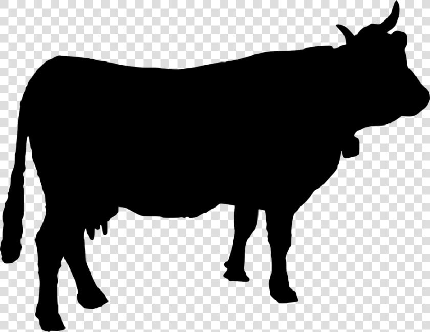 Ganado  Vaca  Cencerro  Silueta  Animales   Free Cow Silhouette Vector  HD Png DownloadTransparent PNG