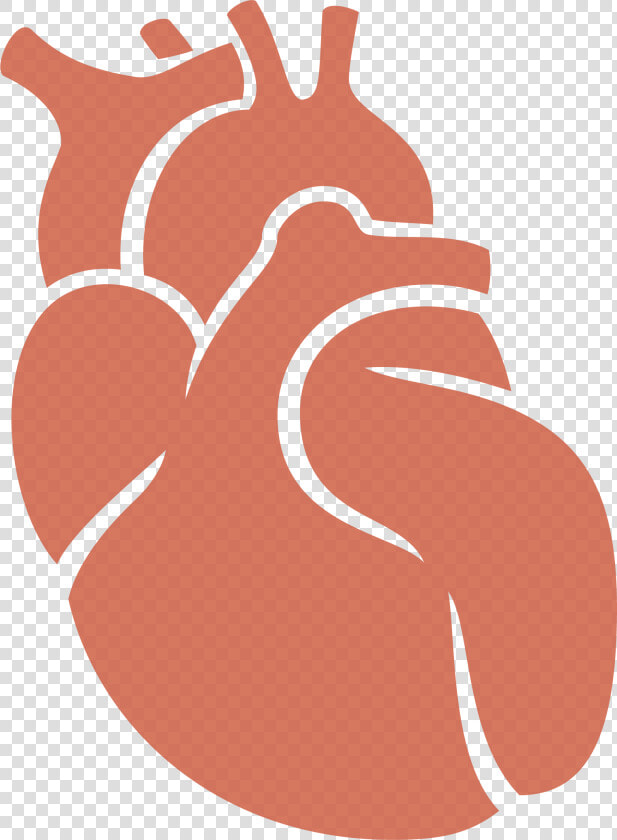 Donation Clipart Hand Heart   Organ Donation Clip Art  HD Png DownloadTransparent PNG