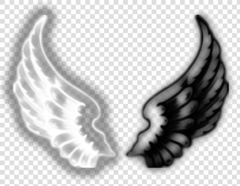  wings  asthetic  asthetics  angel  devil  demon  wing   Angel And Demon Wings  HD Png DownloadTransparent PNG