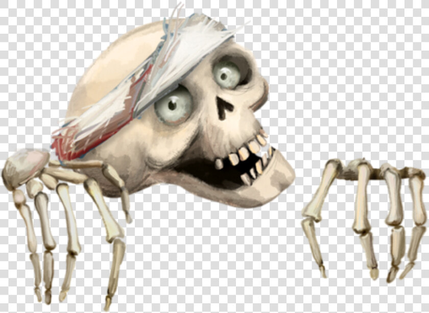 Skeleton Skull Hands Halloween Freetoedit   Skull  HD Png DownloadTransparent PNG