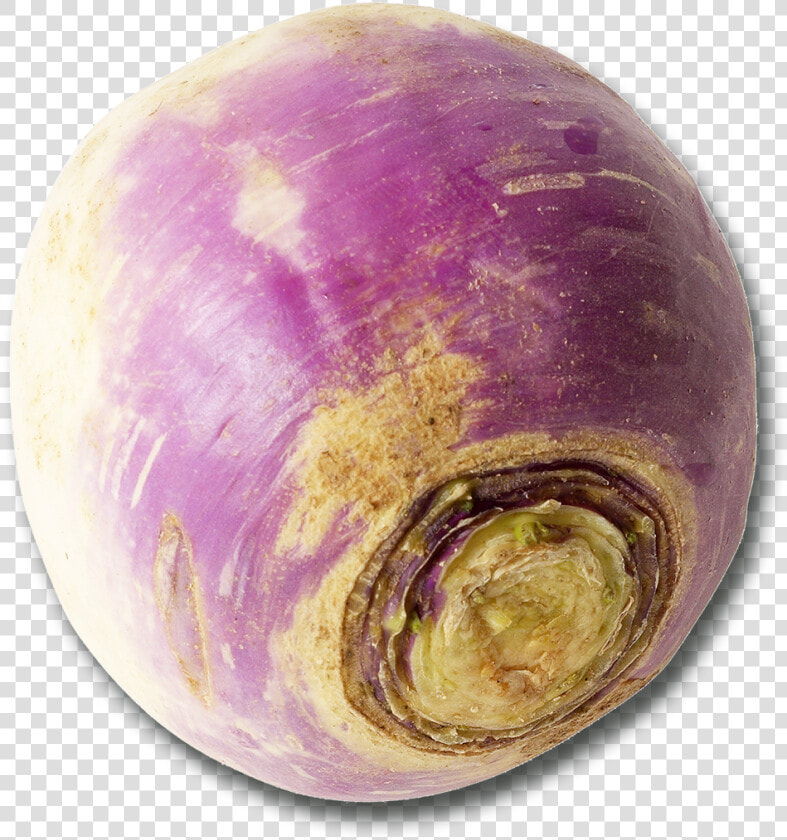 Vegetable   Turnip  HD Png DownloadTransparent PNG