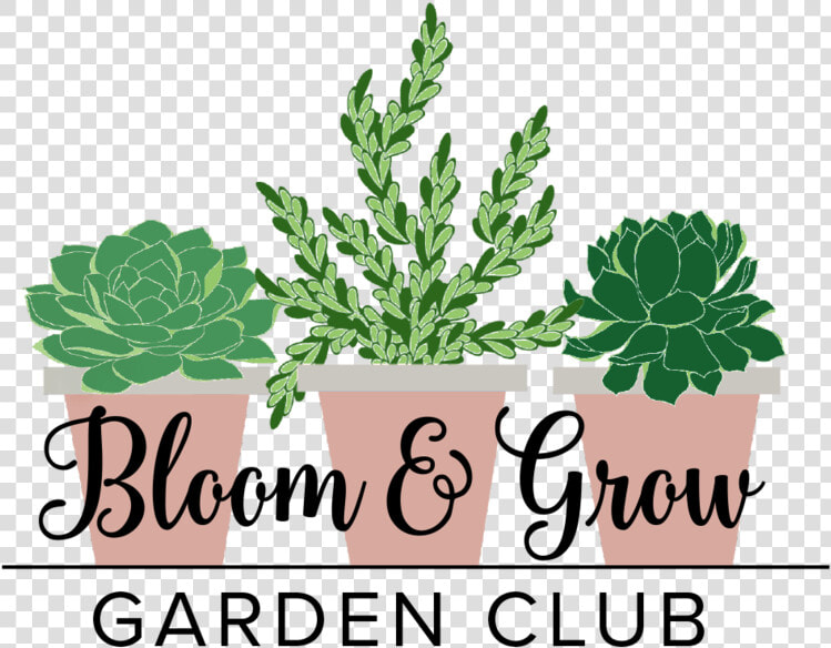 Bloom And Grow Radio  HD Png DownloadTransparent PNG