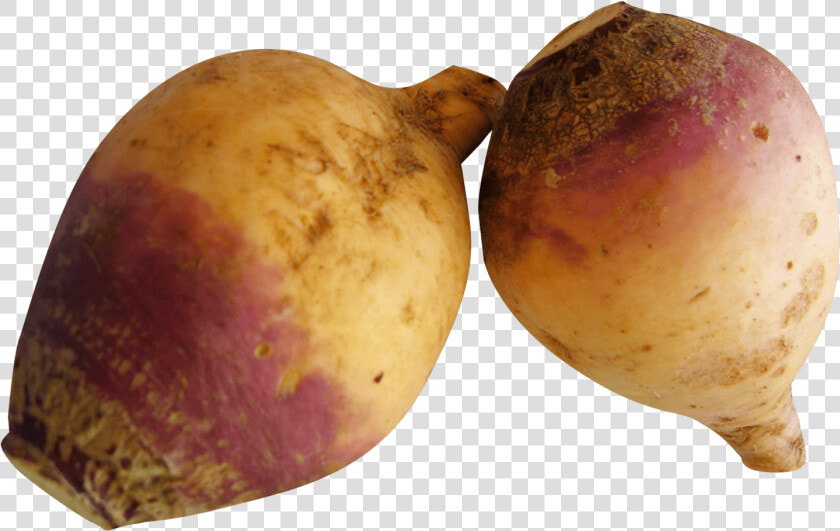 Rutabaga Turnip   Rutabaga Png  Transparent PngTransparent PNG