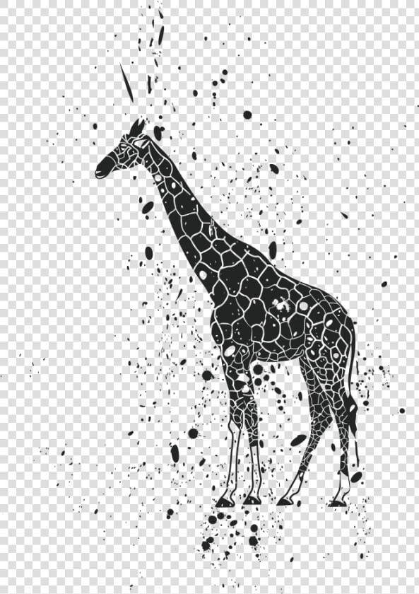 Lion Giraffe Ink Clip Art   Giraffe  HD Png DownloadTransparent PNG