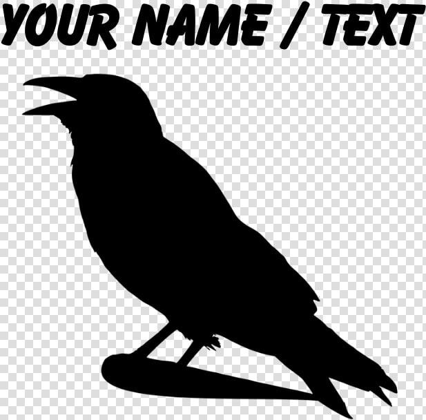 Transparent Crow Silhouette Png   American Crow  Png DownloadTransparent PNG