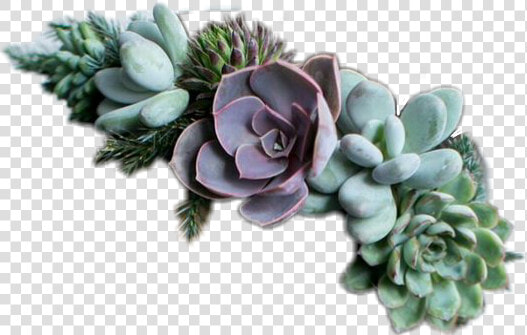 Well Look At That Another Flower Crown   Succulent Jewelry  HD Png DownloadTransparent PNG