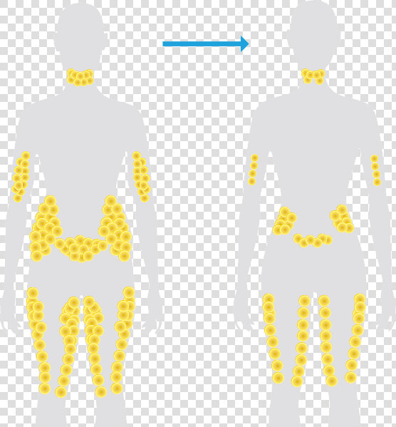 Transparent Fat Man Png   Fat Area In Body  Png DownloadTransparent PNG