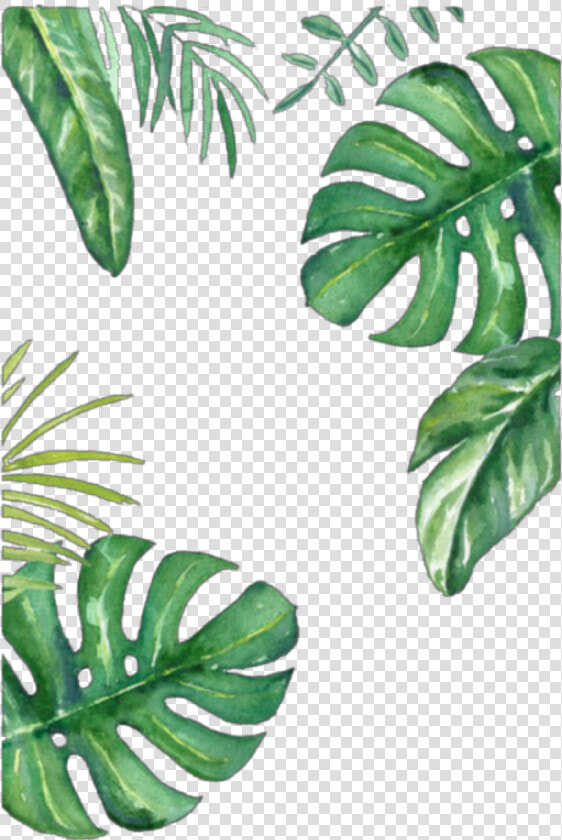  leafs  leaf  green  greenleafs  frame  wallpaper  background   Leaves Png  Transparent PngTransparent PNG