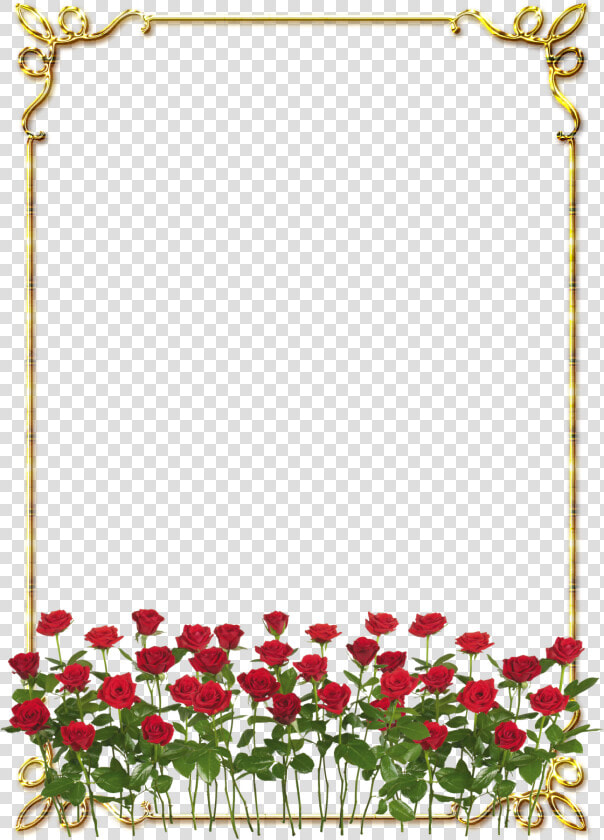 Frames Png Douradas Com Rosa Vermelhas   Red Flowers Garden Png  Transparent PngTransparent PNG