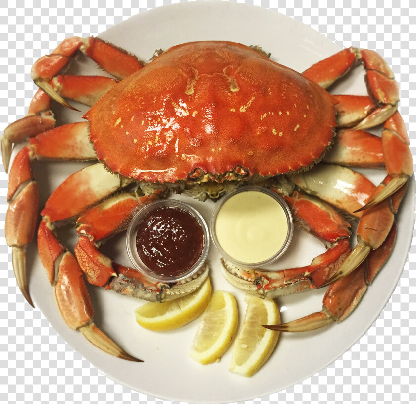 Snow Crab Vs Dungeness Crab  HD Png DownloadTransparent PNG