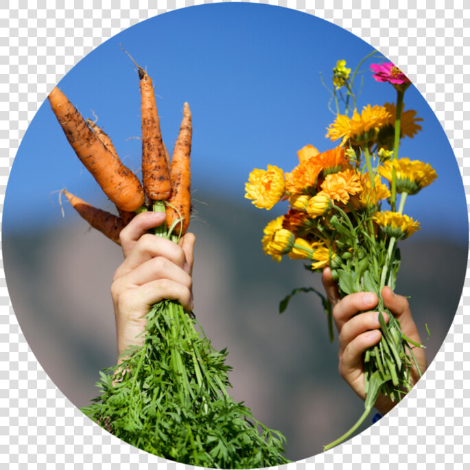 155 Boundless Landscapes 2019 08 07 D31a3173   Bouquet  HD Png DownloadTransparent PNG