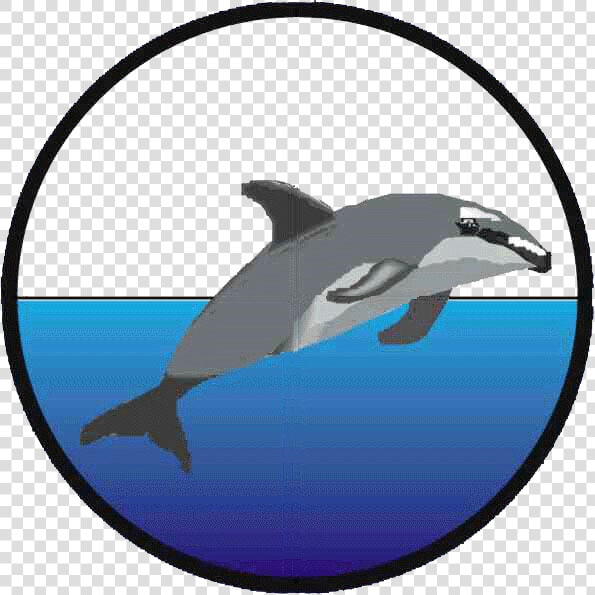 Wholphin  HD Png DownloadTransparent PNG