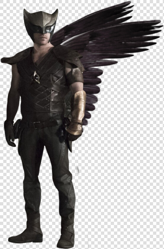 Dc Legends Hawkman Png  Transparent PngTransparent PNG