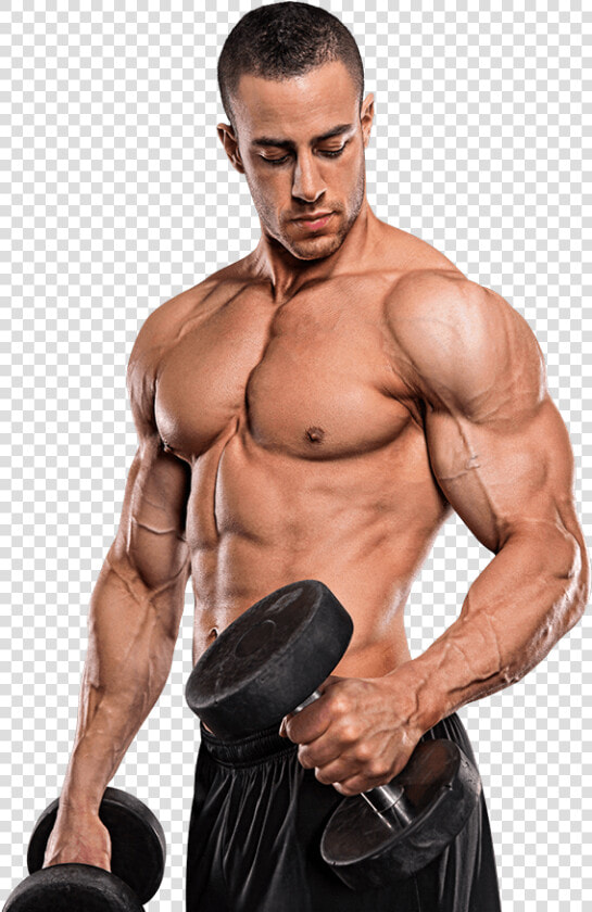 Bodybuilding Png   Gym Model Images Png  Transparent PngTransparent PNG