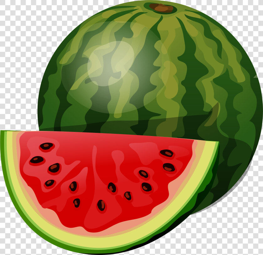 Fruiting Clipart Watermelon   Clipart Of Watermelon  HD Png DownloadTransparent PNG