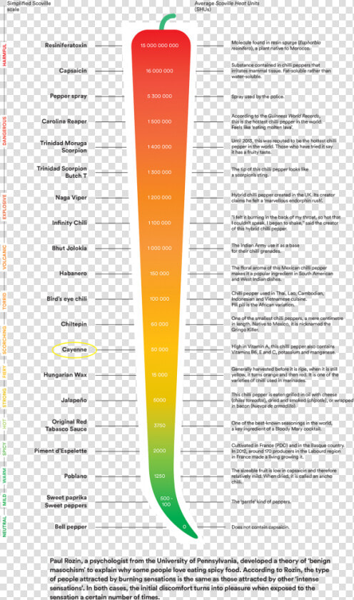 Scovilleheatunits Cayenne   Hot Ones Scoville Scale  HD Png DownloadTransparent PNG