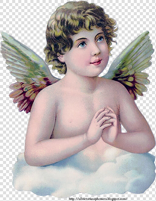 Praying Child Angel Scrap   Fairy  HD Png DownloadTransparent PNG