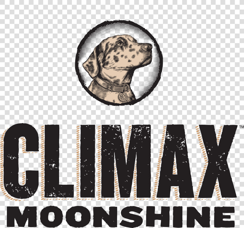 Labrador Retriever   Png Download   Punxsutawney Phil  Transparent PngTransparent PNG