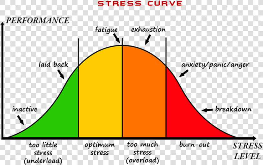 Positive Vs Negative Stress  HD Png DownloadTransparent PNG