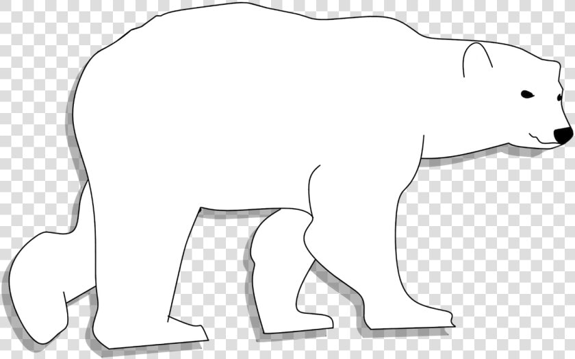 Bear Animal Head Animal Free Photo   Polar Bear  HD Png DownloadTransparent PNG