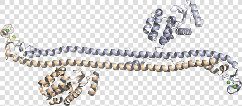 Crystal Structure Of The Trim5α Hiv 1 Restriction Factor  HD Png DownloadTransparent PNG