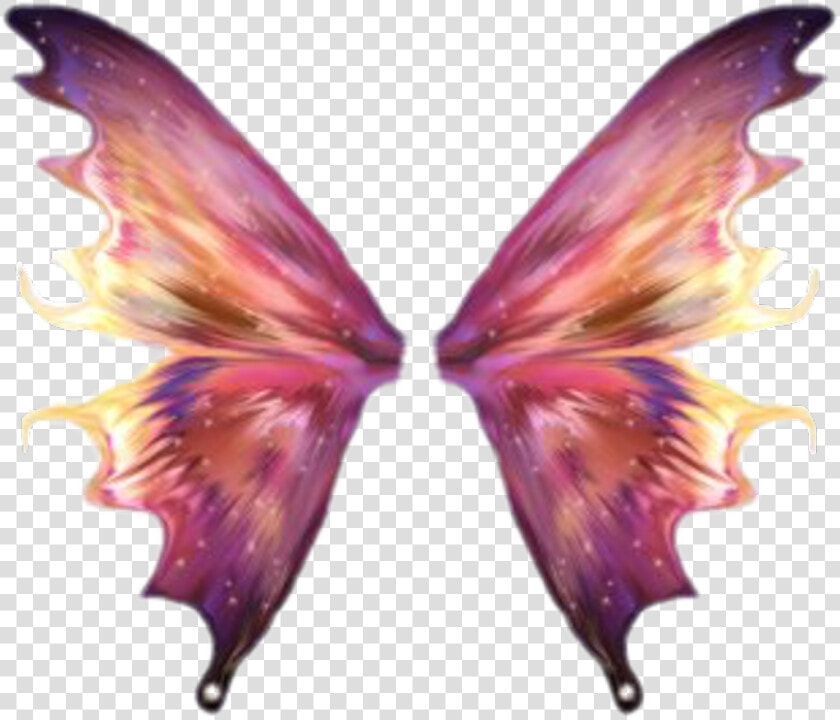  butterfly  wing  wings  freetoedit   Transparent Fairy Wings Png  Png DownloadTransparent PNG