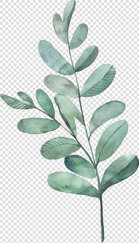 Watercolor Painting Leaf Illustration Watercolor Leaves   Transparent Watercolor Leaves Png  Png DownloadTransparent PNG