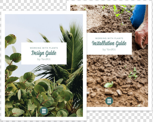 Product Planting Extras   Plantation  HD Png DownloadTransparent PNG