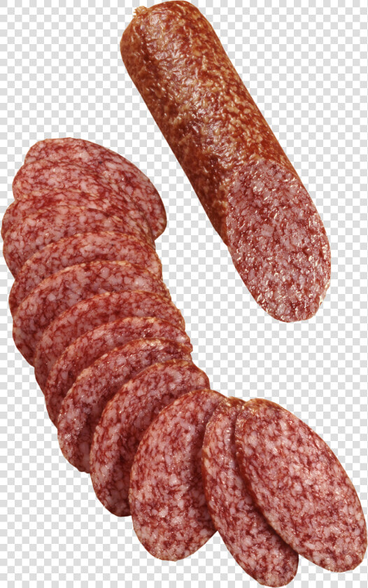 Sausage Png Image   Salami Png  Transparent PngTransparent PNG