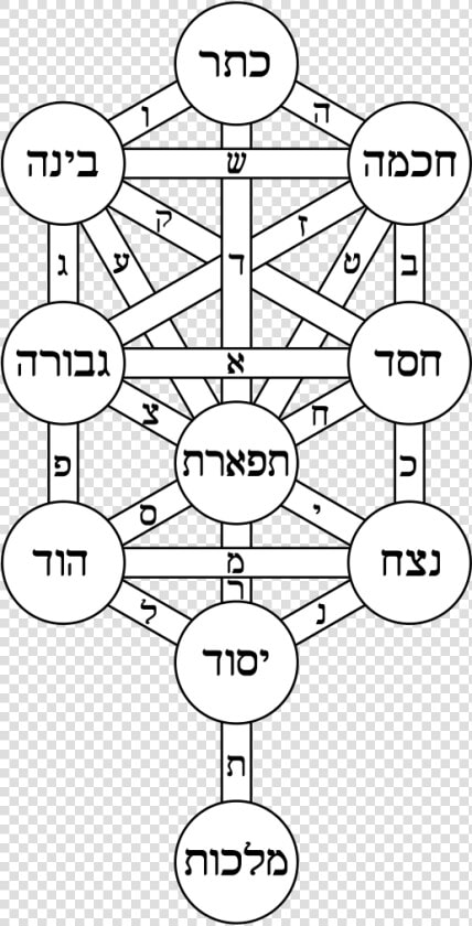 Kabbalah Tree Of Life  HD Png DownloadTransparent PNG