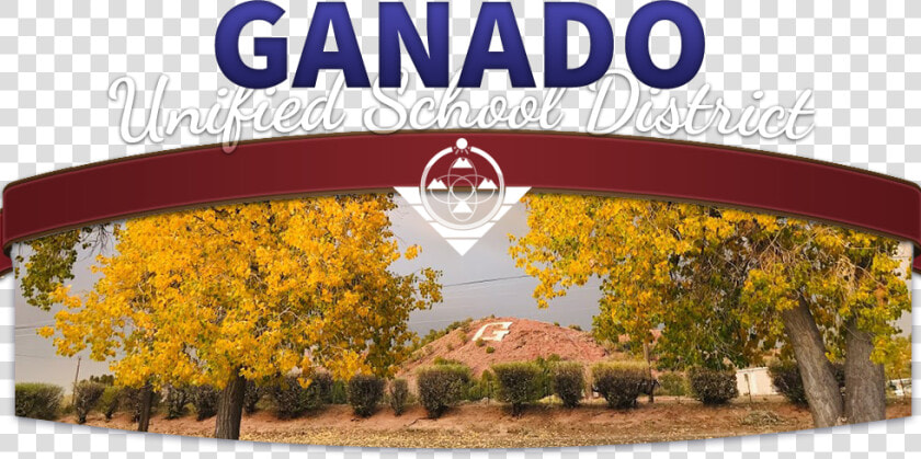 Ganado Unified School District   Tree  HD Png DownloadTransparent PNG