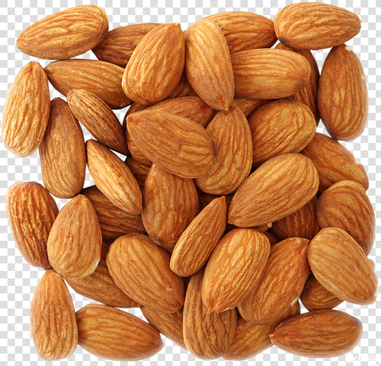 Almond Png  Download Png Image With Transparent Background    Transparent Background Almonds Png  Png DownloadTransparent PNG